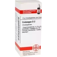 CRATAEGUS D 2