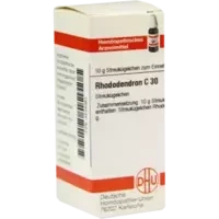 RHODODENDRON C30