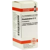 RHODODENDRON D12
