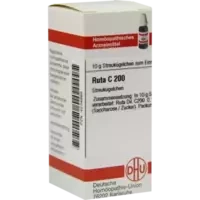 RUTA C200