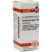 SAMBUCUS NIGRA C30