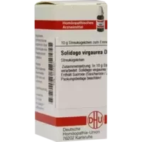 SOLIDAGO VIRGA D12