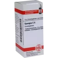SPONGIA C 6