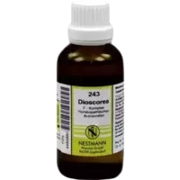 243 Dioscorea F Komplex