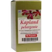 Kaplandpelargonie