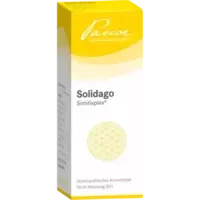 SOLIDAGO SIMILIAPLEX