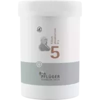 Biochemie Pflüger Nr. 5 Kalium phosphoricum D 6