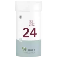 Biochemie Pflüger Nr. 24 Arsenum jodatum D 6