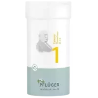 Biochemie Pflüger Nr. 1 Calcium fluoratum D 12