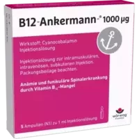 B12 ANKERMANN 1000UG