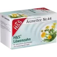 H&S Löwenzahn