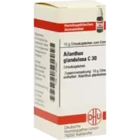 AILANTHUS GLAND C30