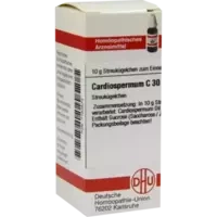 CARDIOSPERMUM C30