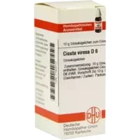 CICUTA VIROSA D 6