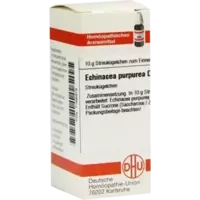 ECHINACEA PURPUR D 6