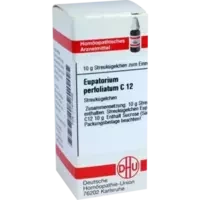 EUPATORIUM PERFOL C12
