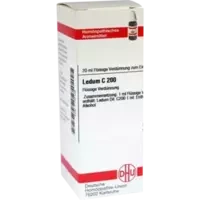 LEDUM C200