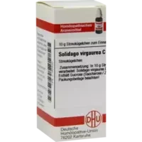 SOLIDAGO VIRGA C30
