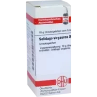 SOLIDAGO VIRGA D30