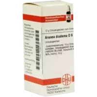 ARANEA DIADEMA D 6