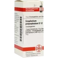 GNAPHALIUM POLYC D12