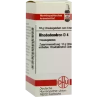 RHODODENDRON D 4