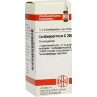 CARDIOSPERMUM C200