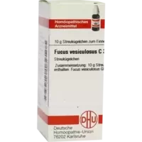 FUCUS VESICUL C30