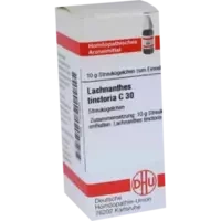 LACHNANTHES TINCT C30