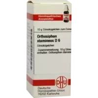 ORTHOSIPHON STAMINEUS D 6