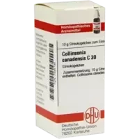 COLLINSONIA CANADENS C30
