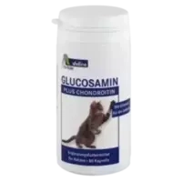 Glucosamin+Chondroitin Kapseln für Katzen