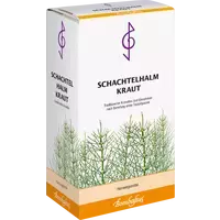 Schachtelhalmkraut