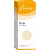 Thuja Similiaplex