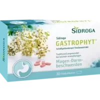 Sidroga GastroPhyt 250 mg Filmtabletten