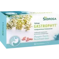 Sidroga GastroPhyt 250 mg Filmtabletten