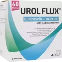 UROL FLUX DURCHSPÜL-THERAPIE 400.5 mg Brausetabl.