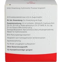Abbildung klein von Euphrasia Augentropfen