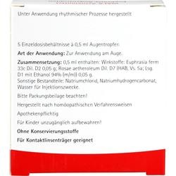 Abbildung klein von Euphrasia Augentropfen