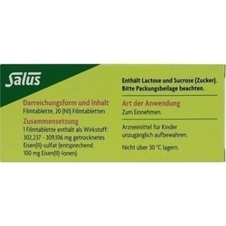 Abbildung klein von Floradix Eisen 100mg Forte