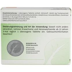 Abbildung klein von Sinupret Extract