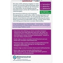 Abbildung klein von Doppelherz Leber Plus