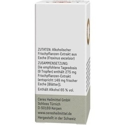 Abbildung klein von Ceres Esche Fraxinus Excelsior Extrakt
