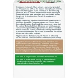 Abbildung klein von Doppelherz Knoblauch M. Mistel+Weißdorn+Vitamin B1