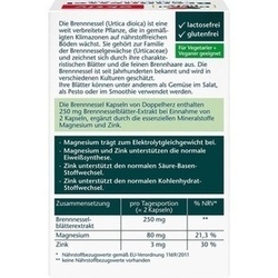 Abbildung klein von Doppelherz Brennnessel+Magnesium+Zink