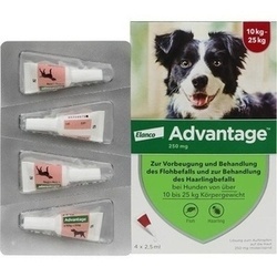 Abbildung klein von Advantage 250 Hund