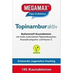 Abbildung klein von Topinambur Aktiv Megamax