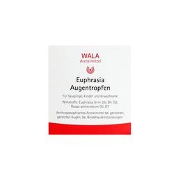 Abbildung klein von Euphrasia Augentropfen