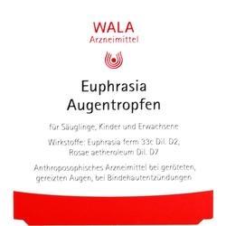 Abbildung klein von Euphrasia Augentropfen