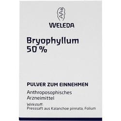 Abbildung klein von Bryophyllum 50%